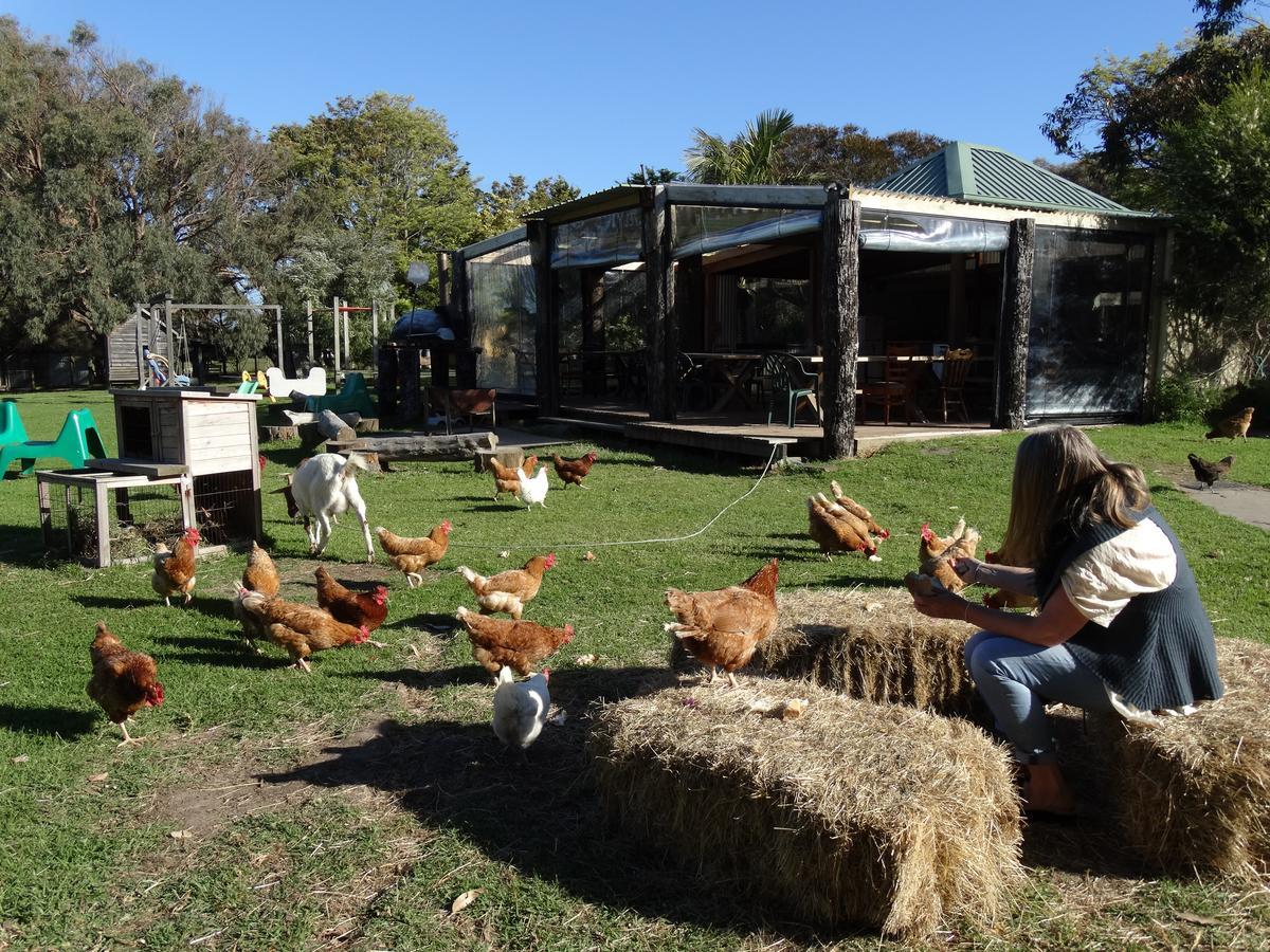 Ripples N Tonic FarmstayVentnor エクステリア 写真
