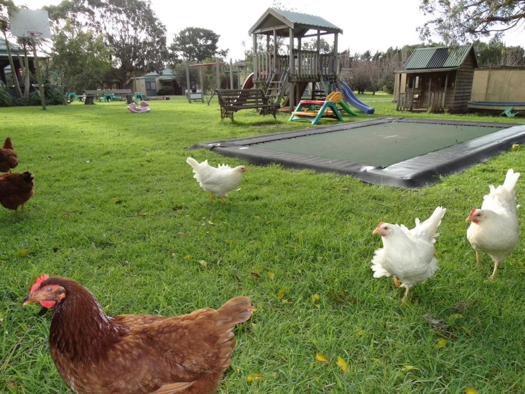 Ripples N Tonic FarmstayVentnor エクステリア 写真